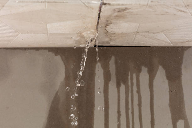 Professional Water Damage Repair technician working in Upperville, VA